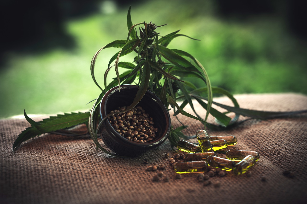 Everything to Know About CBD Oil