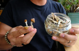 psilocybin items
